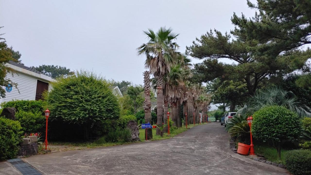 Rnb Town Pension Seogwipo Esterno foto