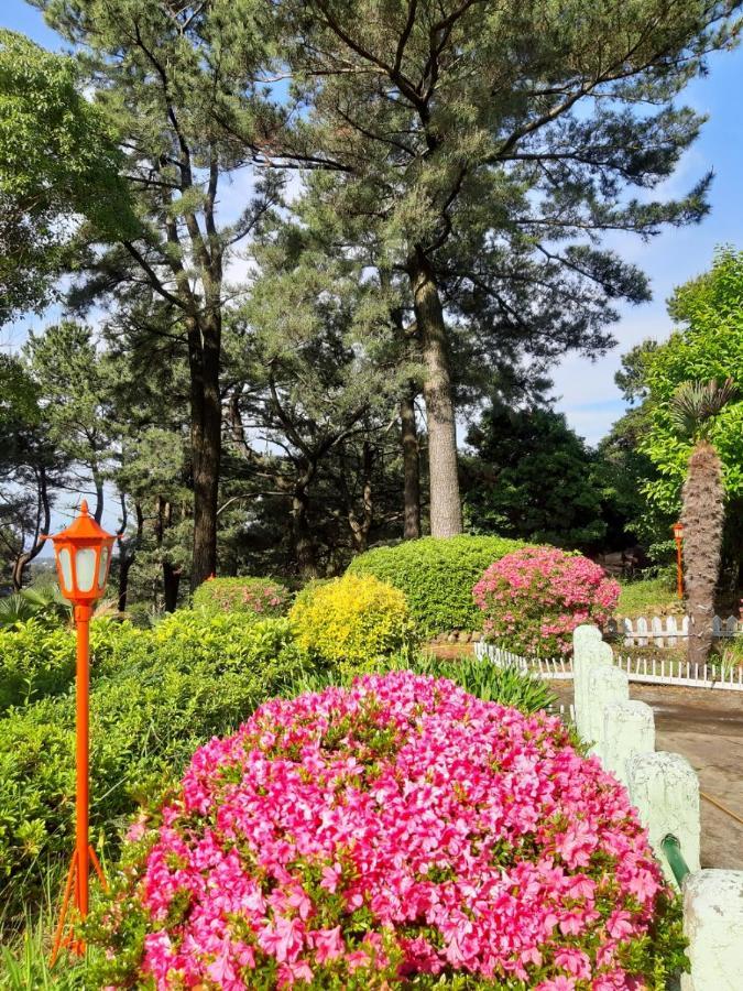 Rnb Town Pension Seogwipo Esterno foto